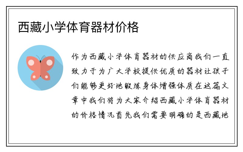 西藏小学体育器材价格