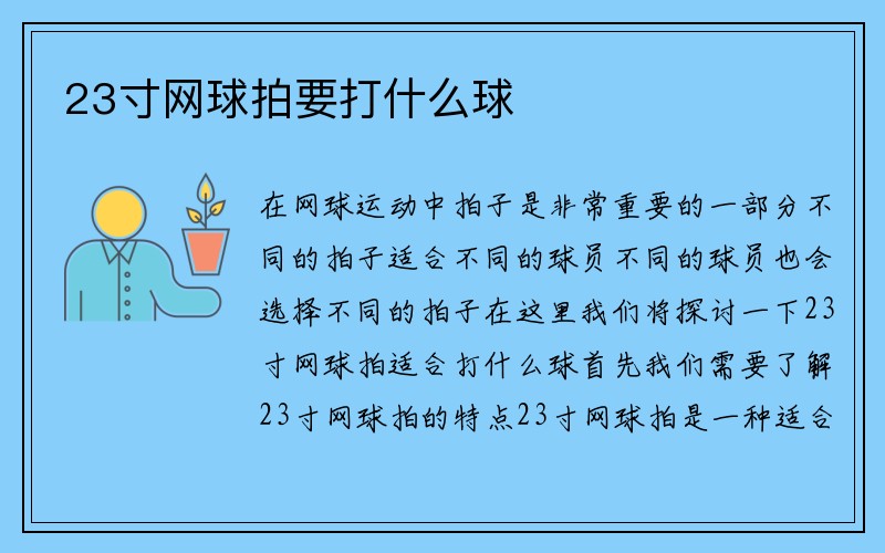 23寸网球拍要打什么球