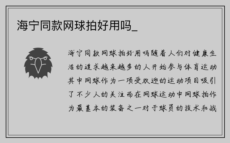 海宁同款网球拍好用吗_