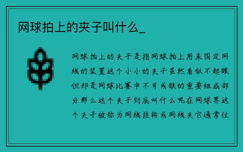 网球拍上的夹子叫什么_