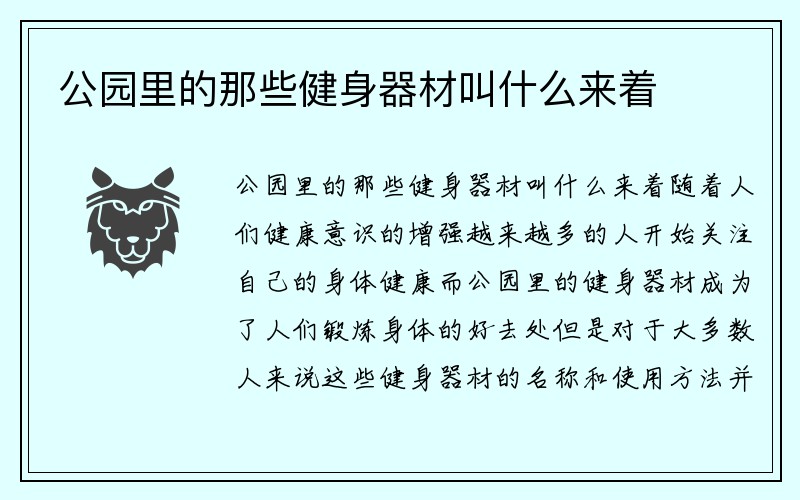 公园里的那些健身器材叫什么来着