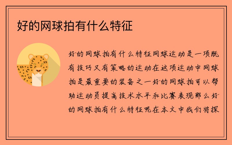 好的网球拍有什么特征