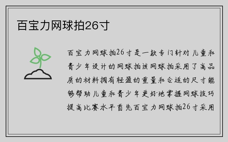 百宝力网球拍26寸