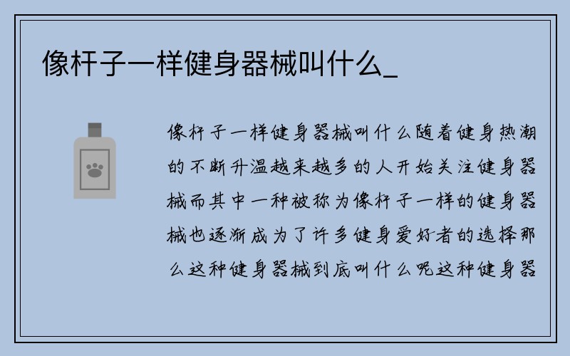 像杆子一样健身器械叫什么_