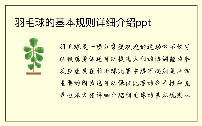 羽毛球的基本规则详细介绍ppt