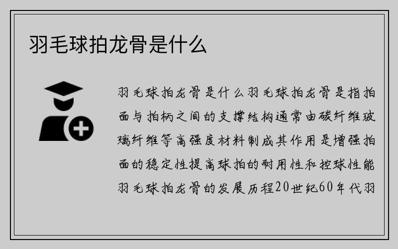 羽毛球拍龙骨是什么