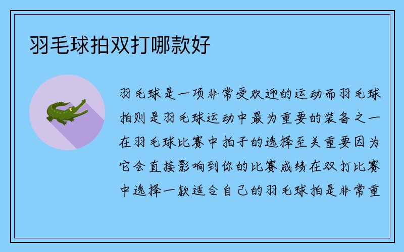 羽毛球拍双打哪款好