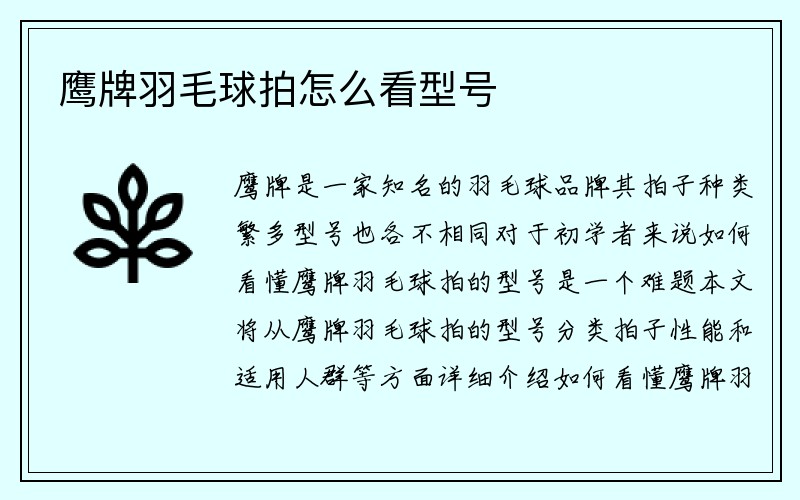 鹰牌羽毛球拍怎么看型号