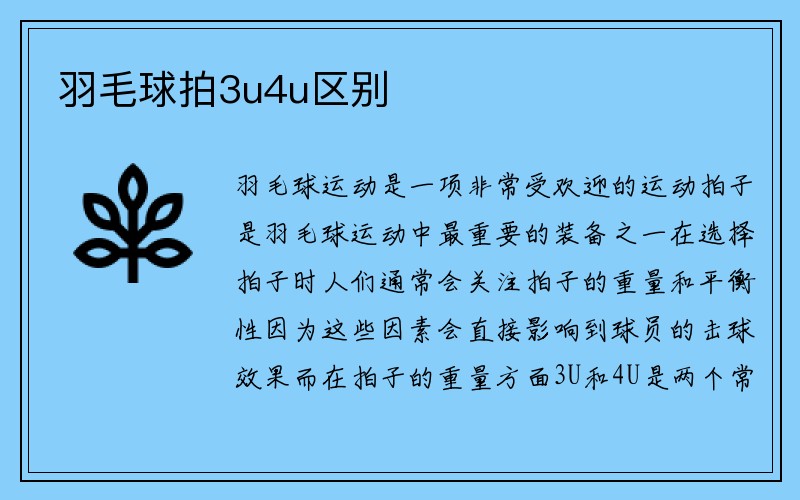 羽毛球拍3u4u区别